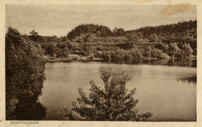 14638 Gezicht op een waterplas met omringend bos met naaldbomen te Soestduinen (gemeente Soest).